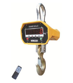heavy duty crane scale