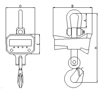 digital crane scale