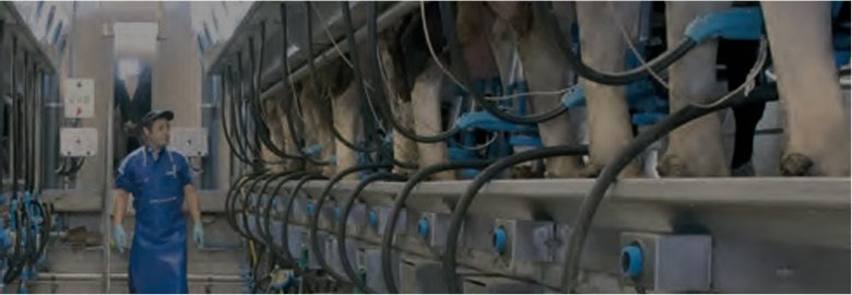 Milking Farms/Dairy Farms Automation