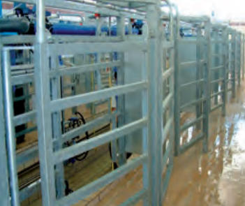 automatic milking systems